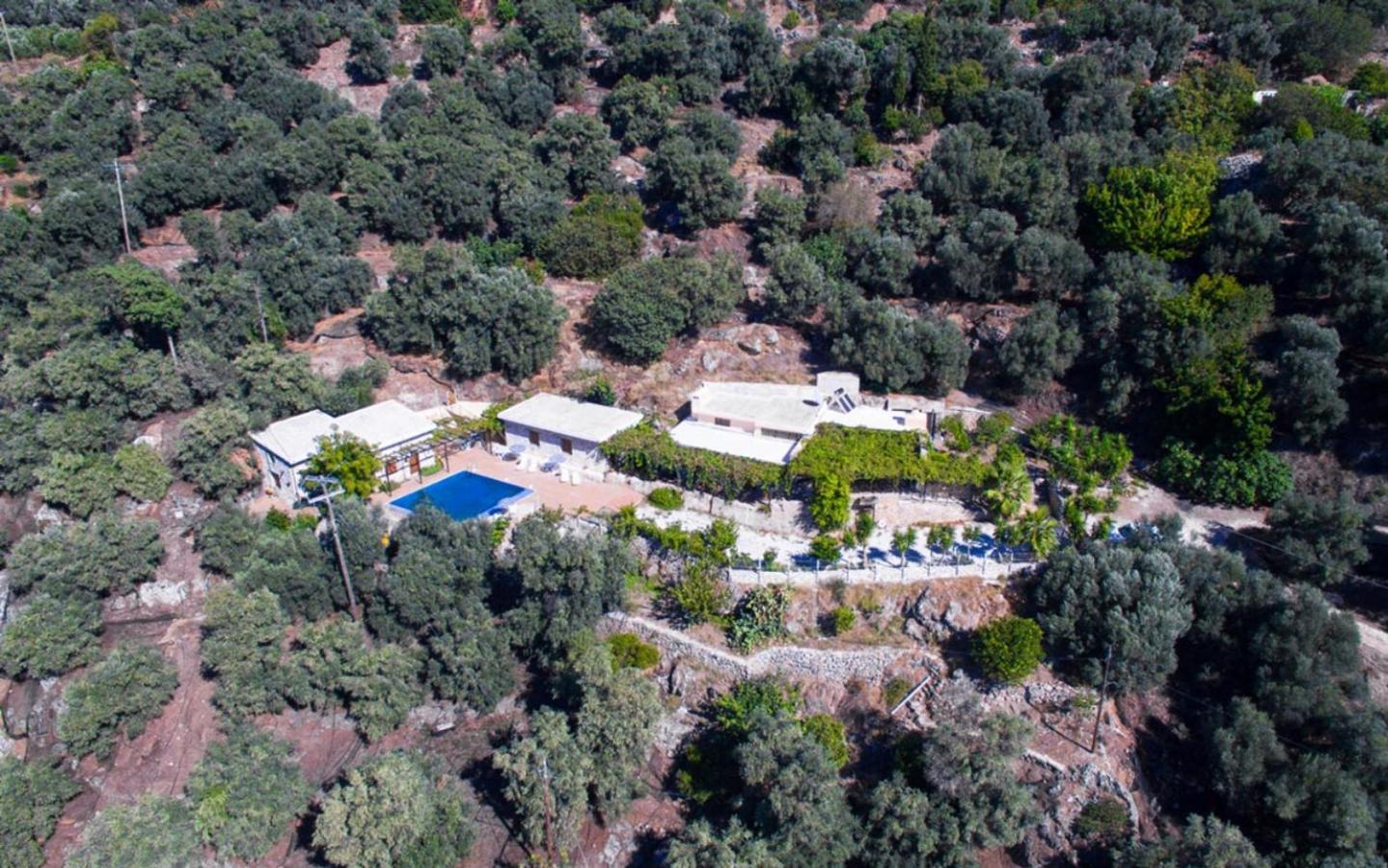 Villa Talos Palaiochora Exterior foto